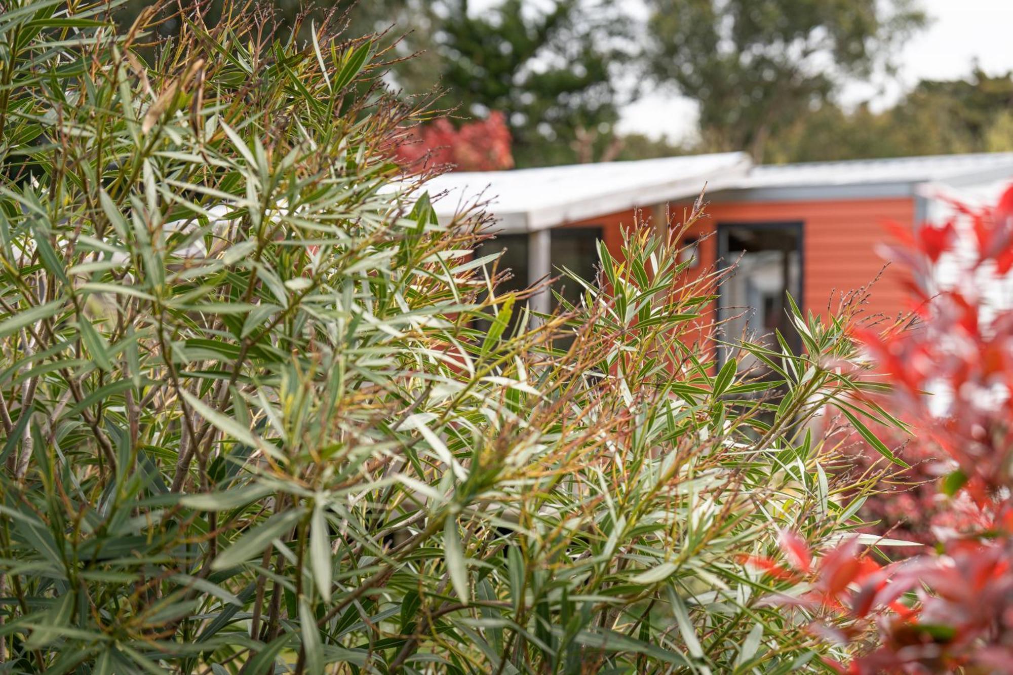 Camping Antioche D'Oleron La Brée-les-Bains エクステリア 写真