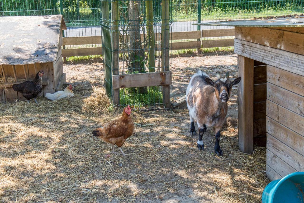 Camping Antioche D'Oleron La Brée-les-Bains エクステリア 写真